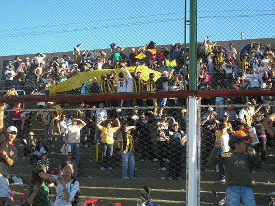 liga liga